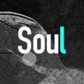 Soul软件 V3.91.0
