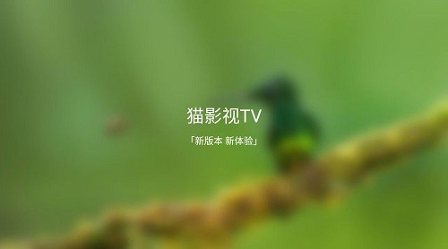 猫影视tv新版